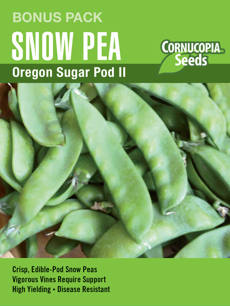Oregon Sugar Pod II Snow Pea