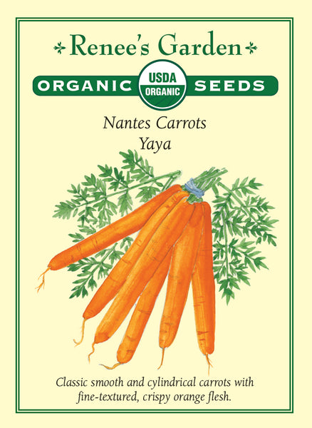 Carrots Yaya' Nantes Carrots – Renee's Garden