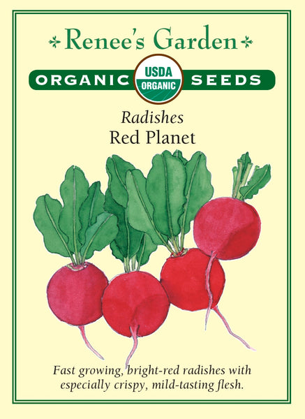 3015_O_Radish_Planet2023F_1498