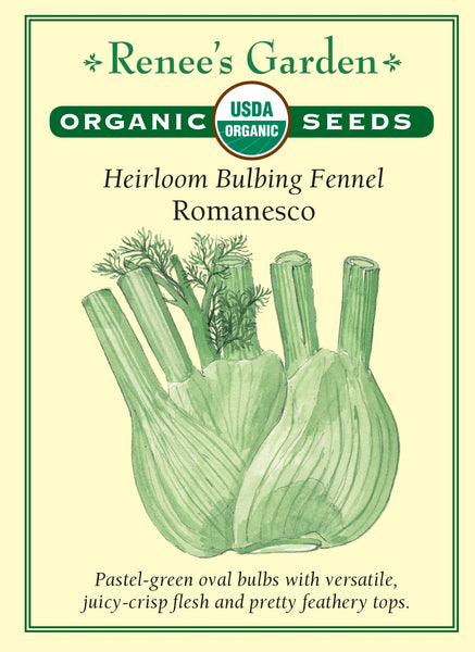 fennel seeds for garden Romanesco' Bulbing Fennel – Renee's Garden