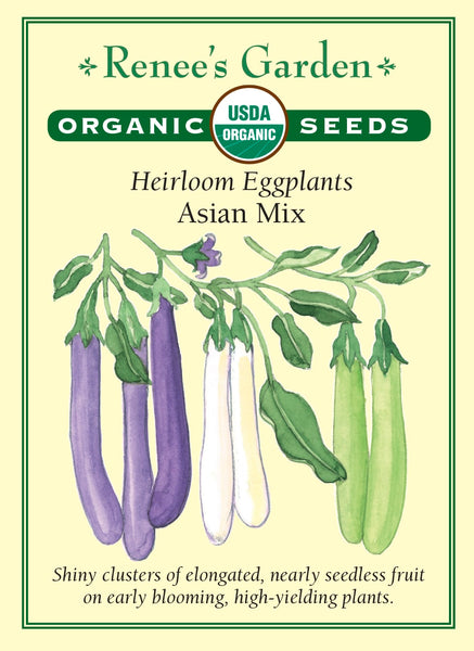 determina garden 200pcs rare eggplant seeds garden plants organi Renee's Garden Heirloom Eggplants Asian Mix Seeds