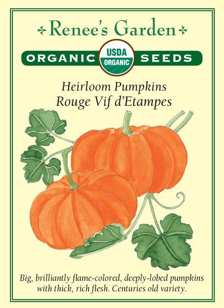 pumpkin様 3043_O_Pum_Rouge_2021F_24b7661