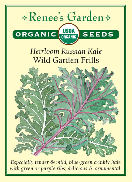 3055_O_Kale_Mix.2021F_5cc862a0