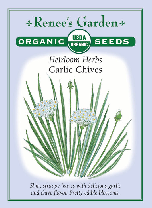 Garlic Chives