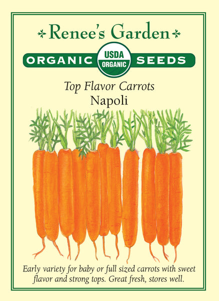 Napoli' Top Flavor Carrots – Renee's Garden