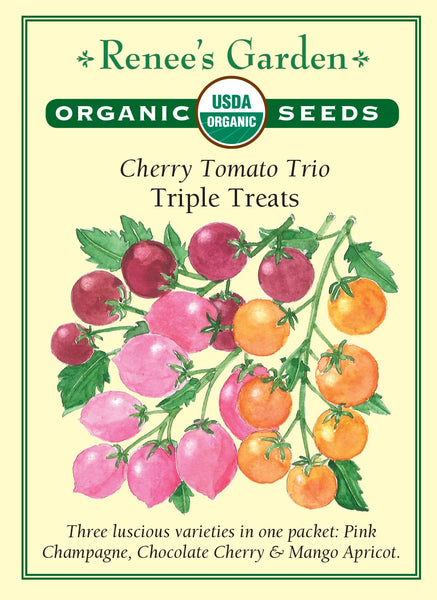 3093_O_Tom_SweetTreat2022F2_02