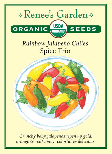3094_O_Chile_SpiceTrio.2021.