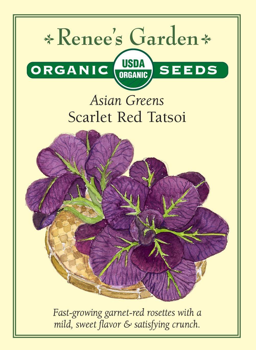 Asian Greens - Scarlet Red Tatsoi
