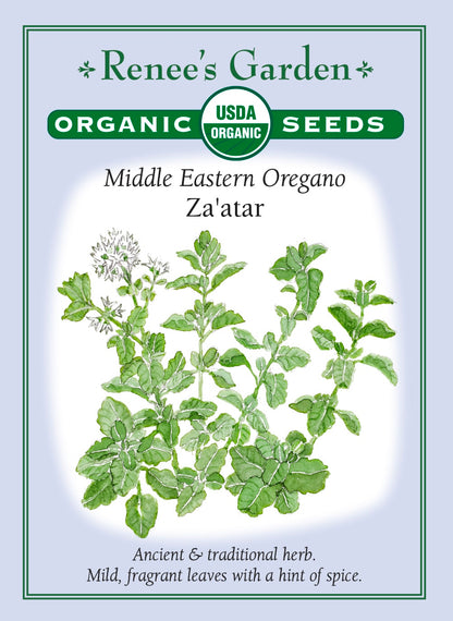 Middle Eastern Oregano - Za'atar