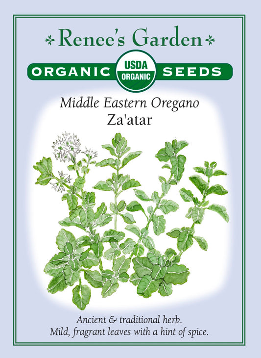 Middle Eastern Oregano - Za'atar