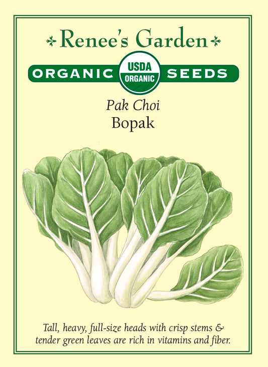 Pak Choi - Bopak