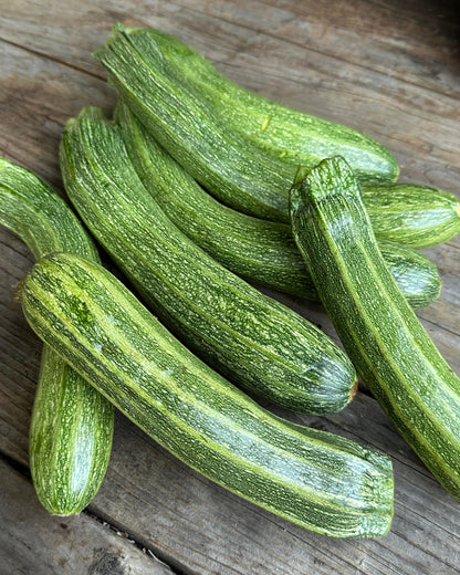 Heirloom Italian Zucchini - Classic Cocozelle Organic