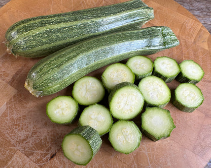 Heirloom Italian Zucchini - Classic Cocozelle Organic