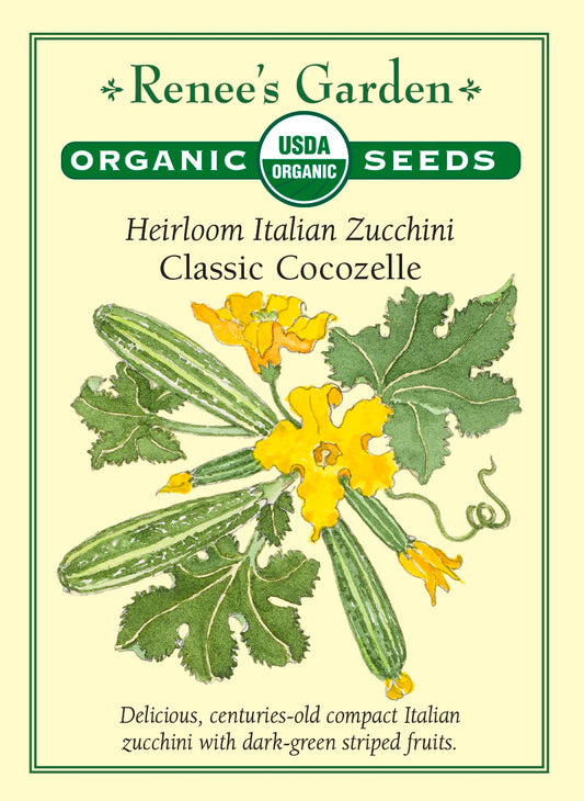 Heirloom Italian Zucchini - Classic Cocozelle