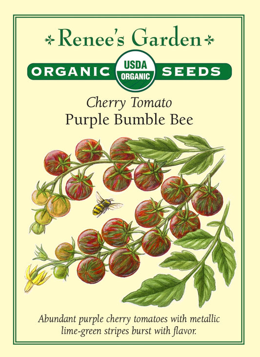 Cherry Tomato - Purple Bumble Bee