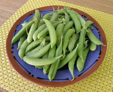 Tall Snap Peas - Magnolia Blossom
