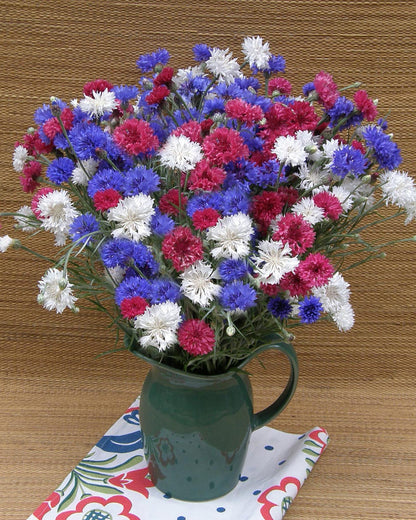 Heirloom Cornflowers - 4th Of July Mix