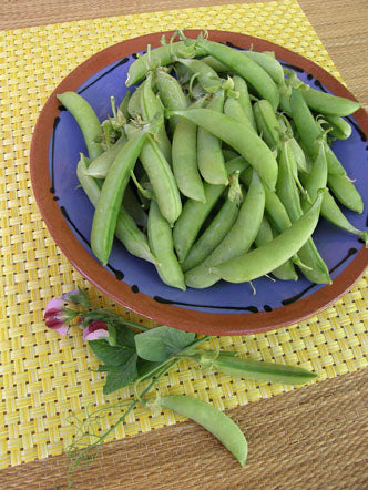 Tall Snap Peas - Magnolia Blossom