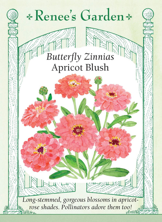 Apricot Blush