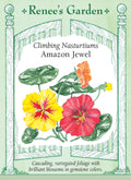 Amazon Jewel
