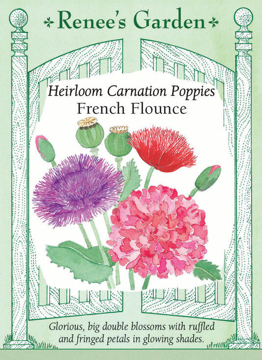 French Flounce