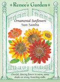Sun Samba