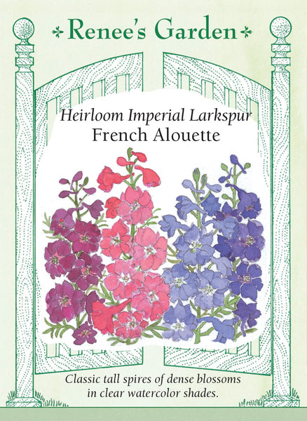 French Alouette' Heirloom Imperial Larkspur – Renee's Garden
