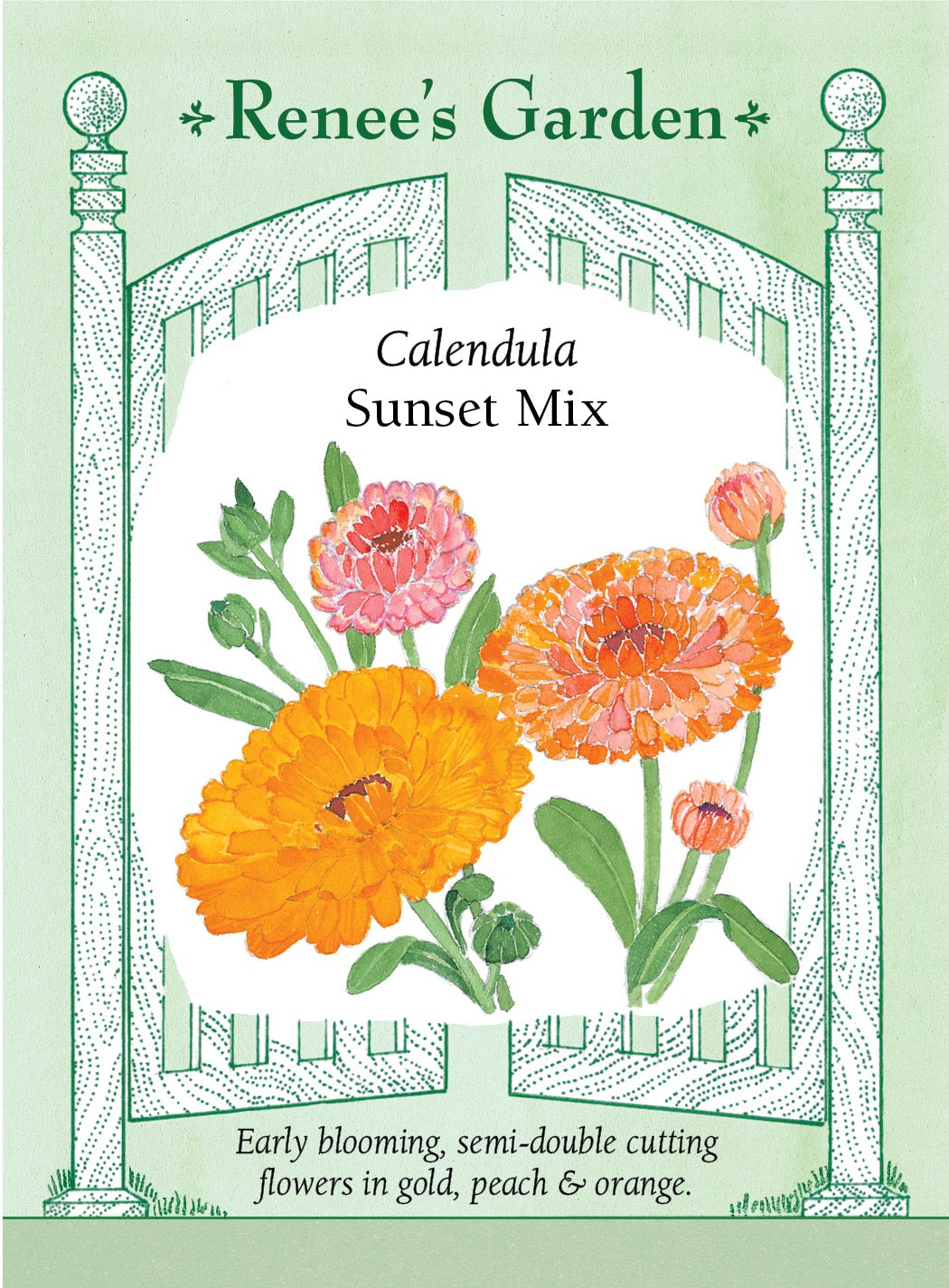 Calendula - Sunset Mix