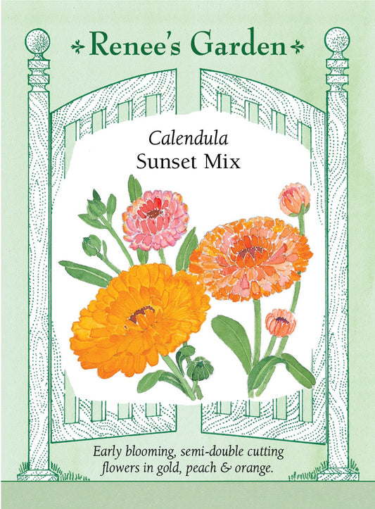 Calendula - Sunset Mix