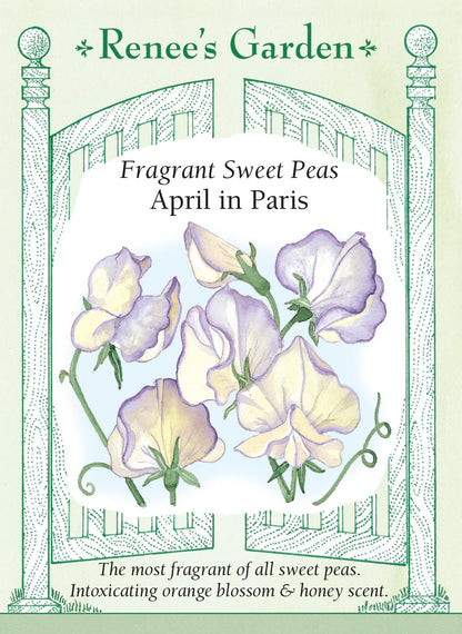 seeds to plant april April in Paris' Fragrant Sweet Peas – Renee's Garden