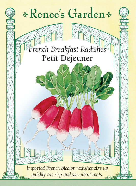 Petit Dejeuner