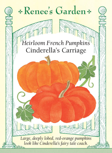 cinderella pumpkin coach glutathione Boost Glutathione for Better Health and Brighter Skin