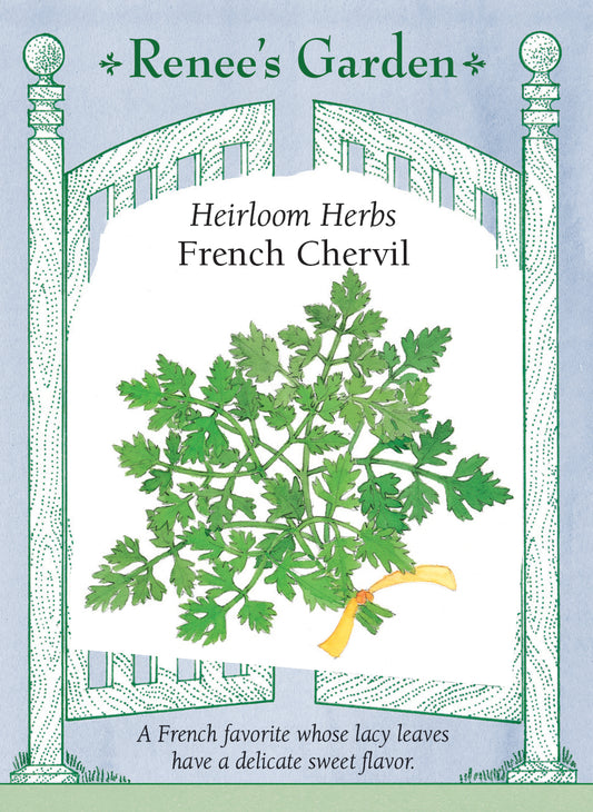 French Chervil