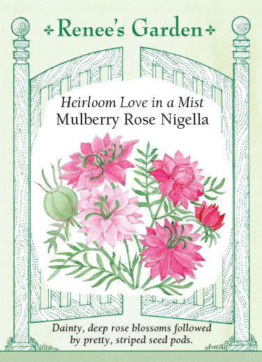 Mulberry Rose Nigella