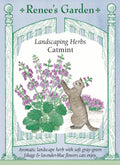 Catmint
