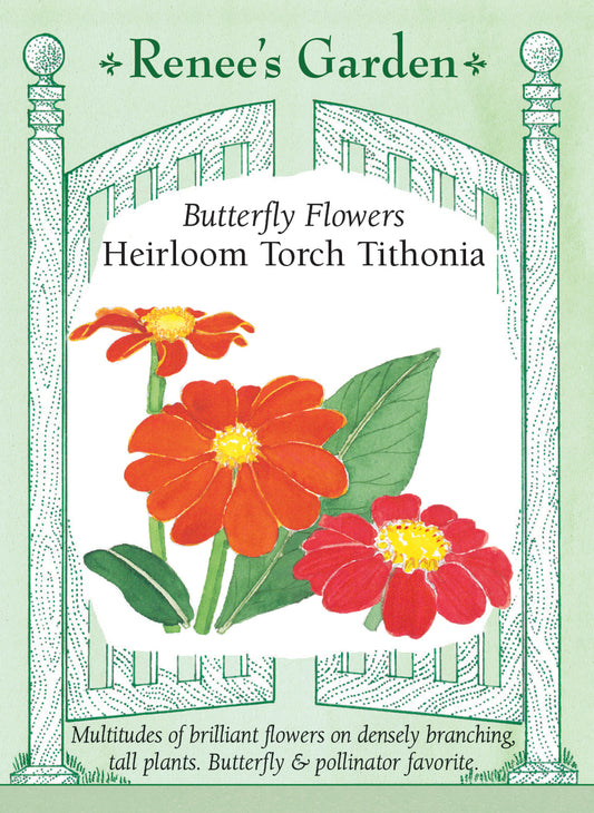 Heirloom Torch Tithonia