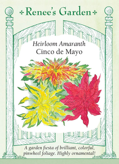 mayo garden seeds Heirloom Amaranth