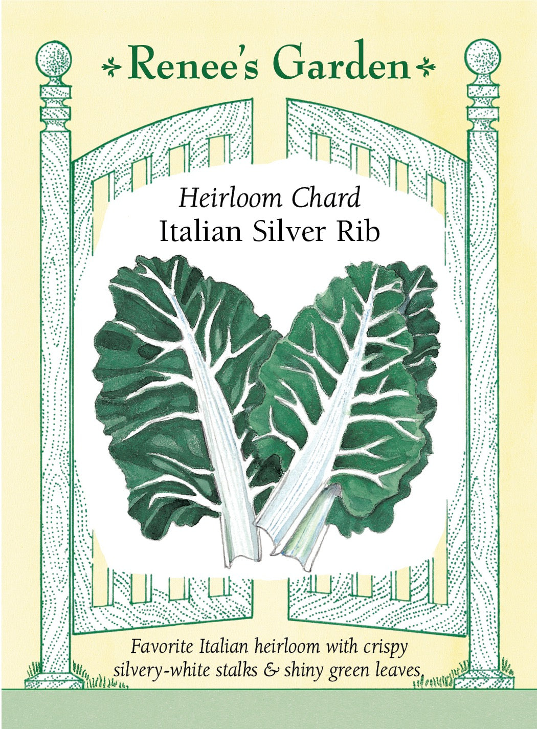 Heirloom Chard - Italian Silver Rib