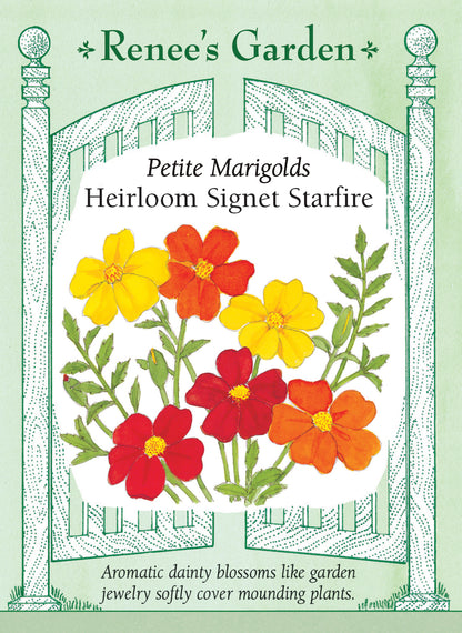 Heirloom Signet Starfire