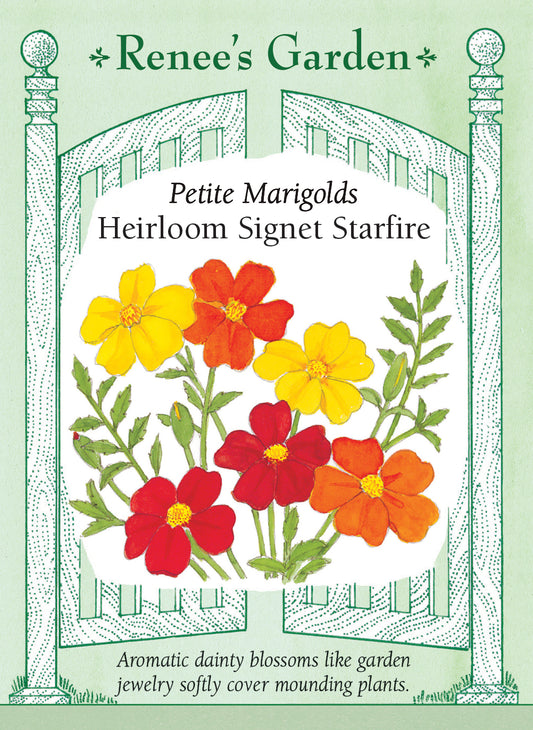Heirloom Signet Starfire
