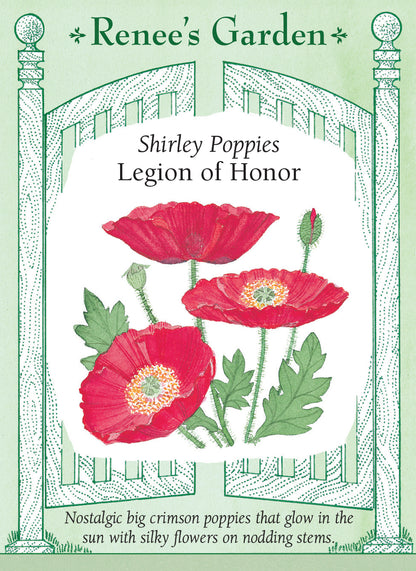 Seed packet with Shirley Poppies design and 'Renee's Garden' branding on a light green background. Nostalgic big crimson poppies that glow in the sun with silky flowers on nodding stems.