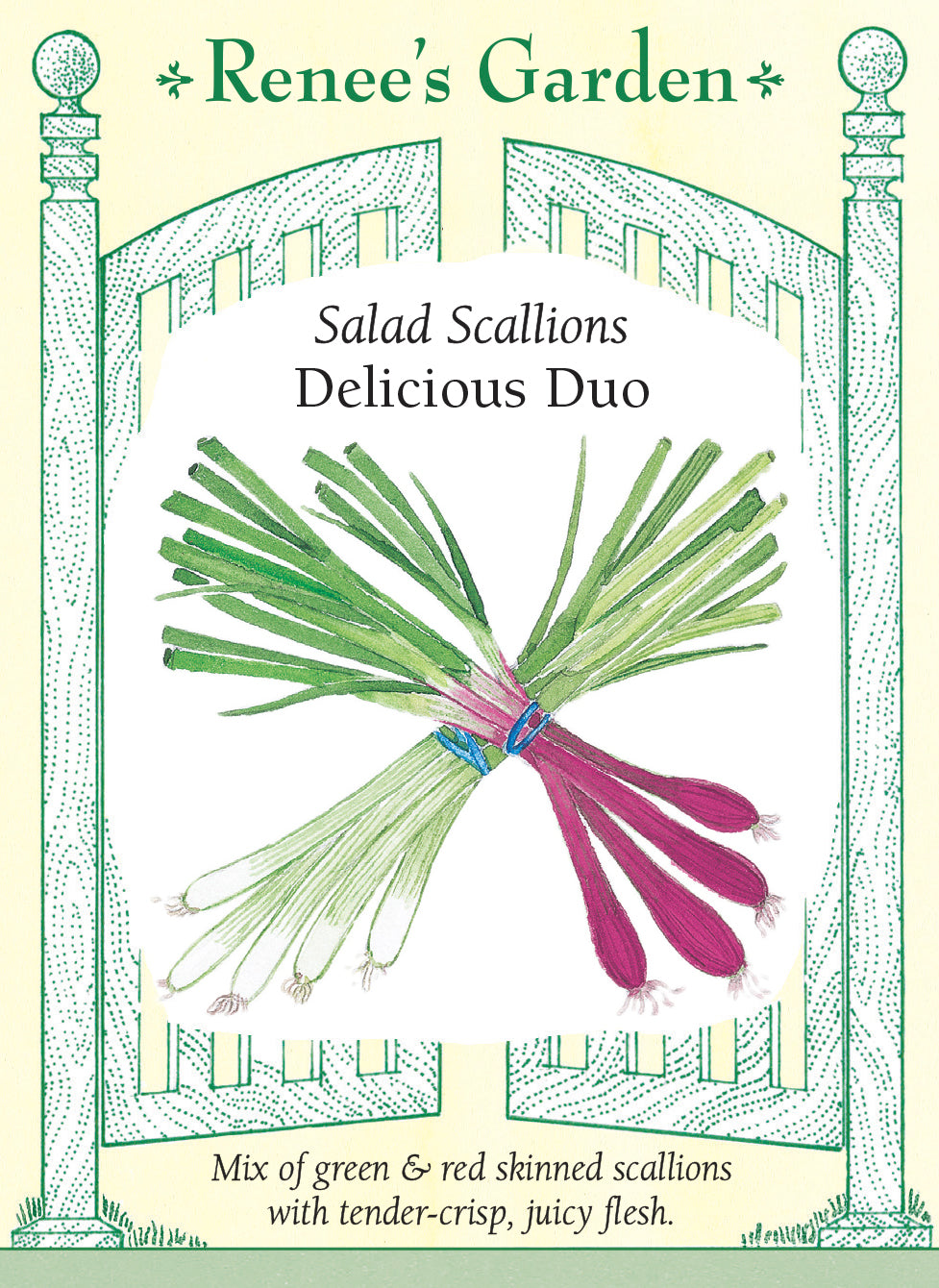Seed packet ard with illustration of red and white salad scallions and text about 'Renee's Garden' salad scallions.