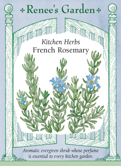 French Rosemary
