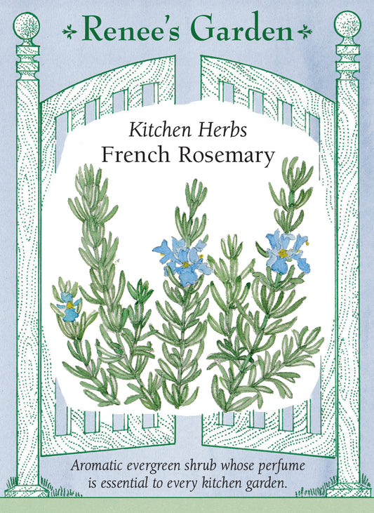 Seed packet of Renee's Garden French Rosemary with botanical illustration and text. Aromatic evergreen shrub whose perfume is essential to every kitchen garden.