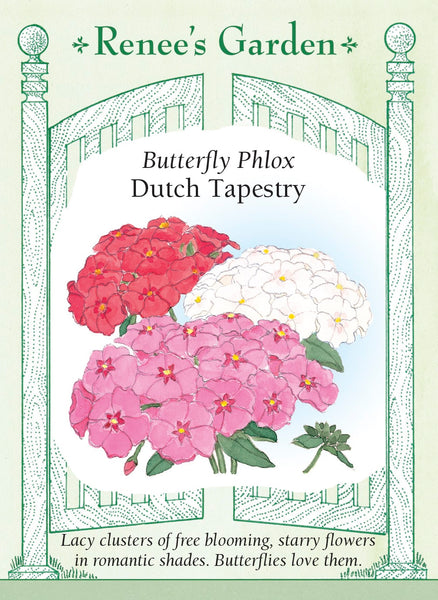 ♡Rin花♡【プロフ必読!!】 Dutch Tapestry' Butterfly Phlox – Renee's Garden
