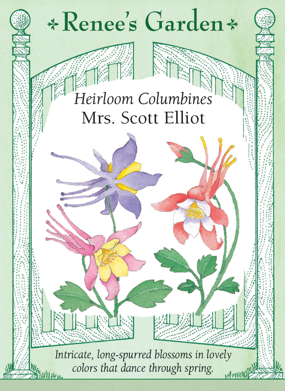 Mrs. Scott Elliot