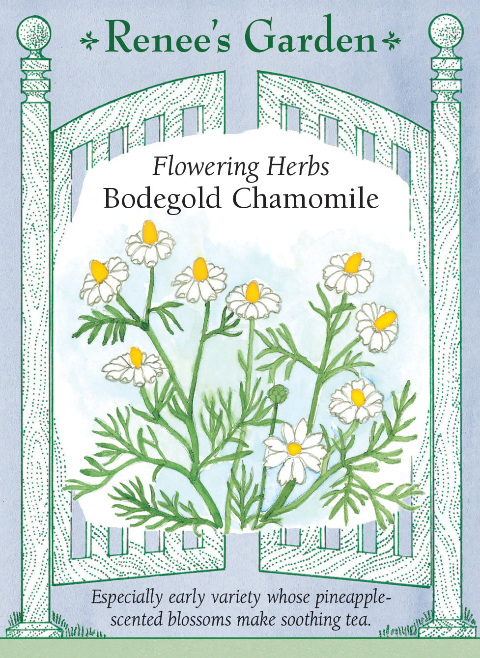 Bodegold Chamomile