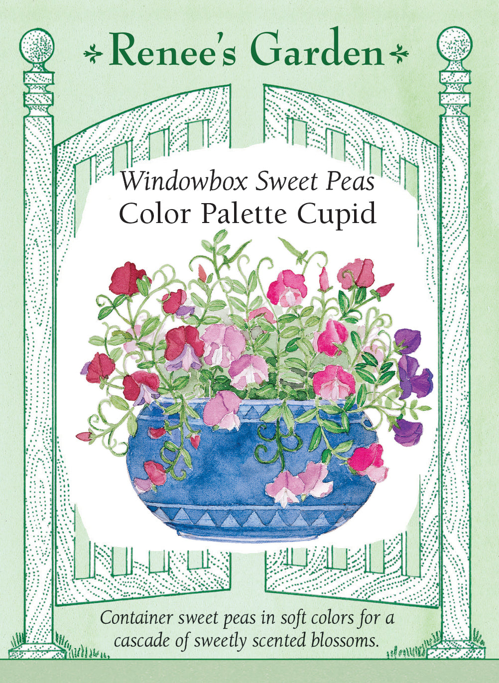 Color Palette Cupid