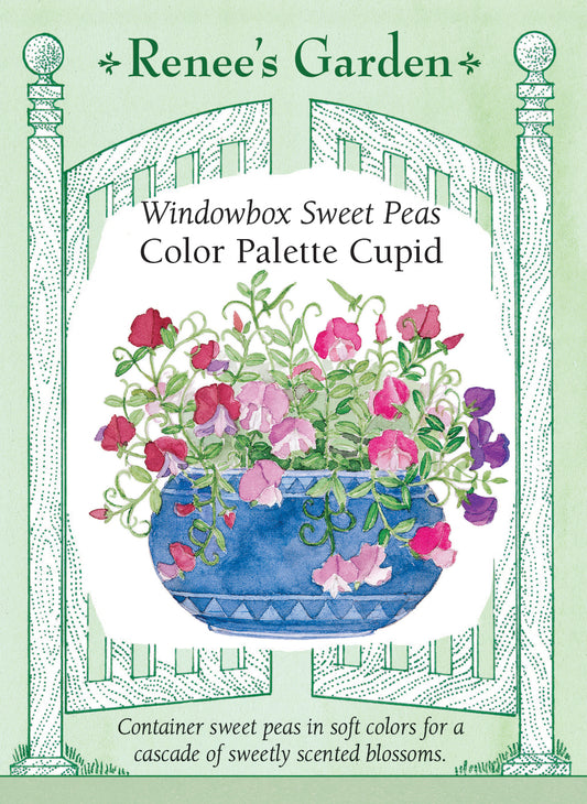 Color Palette Cupid