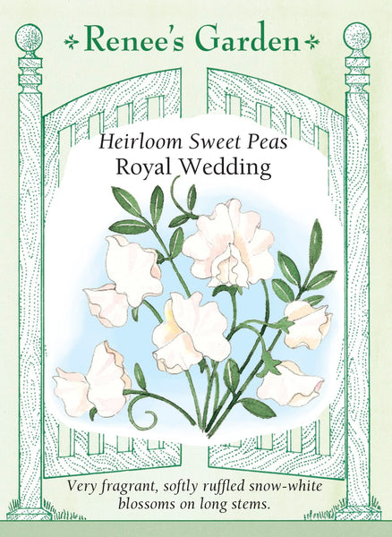 renee's garden sweet pea seeds Renee's Garden Heirloom Sweet Peas Royal Wedding Seeds